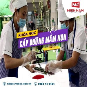 Cấp dưỡng mầm non