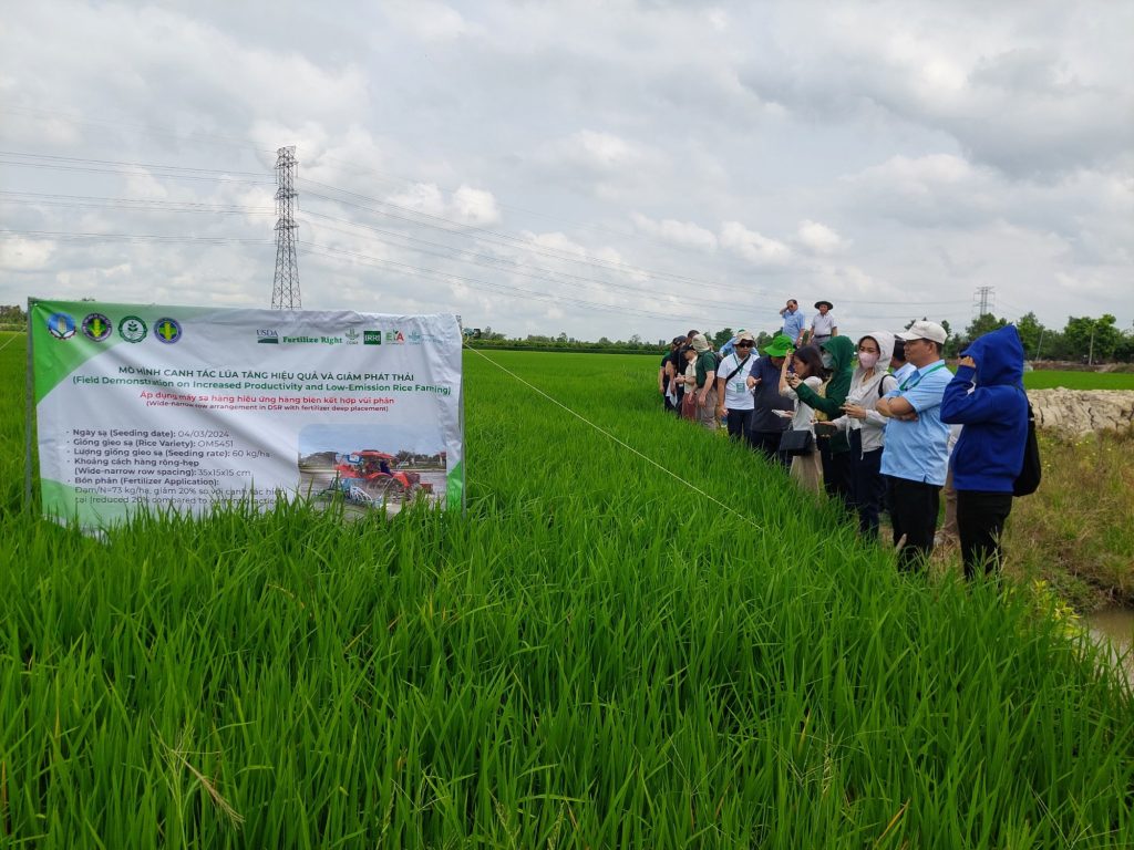 Minh họa Quy trình sử dụng Phân bón